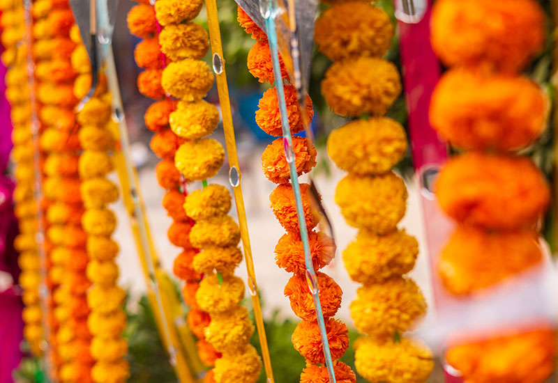 Image for: Strategic review