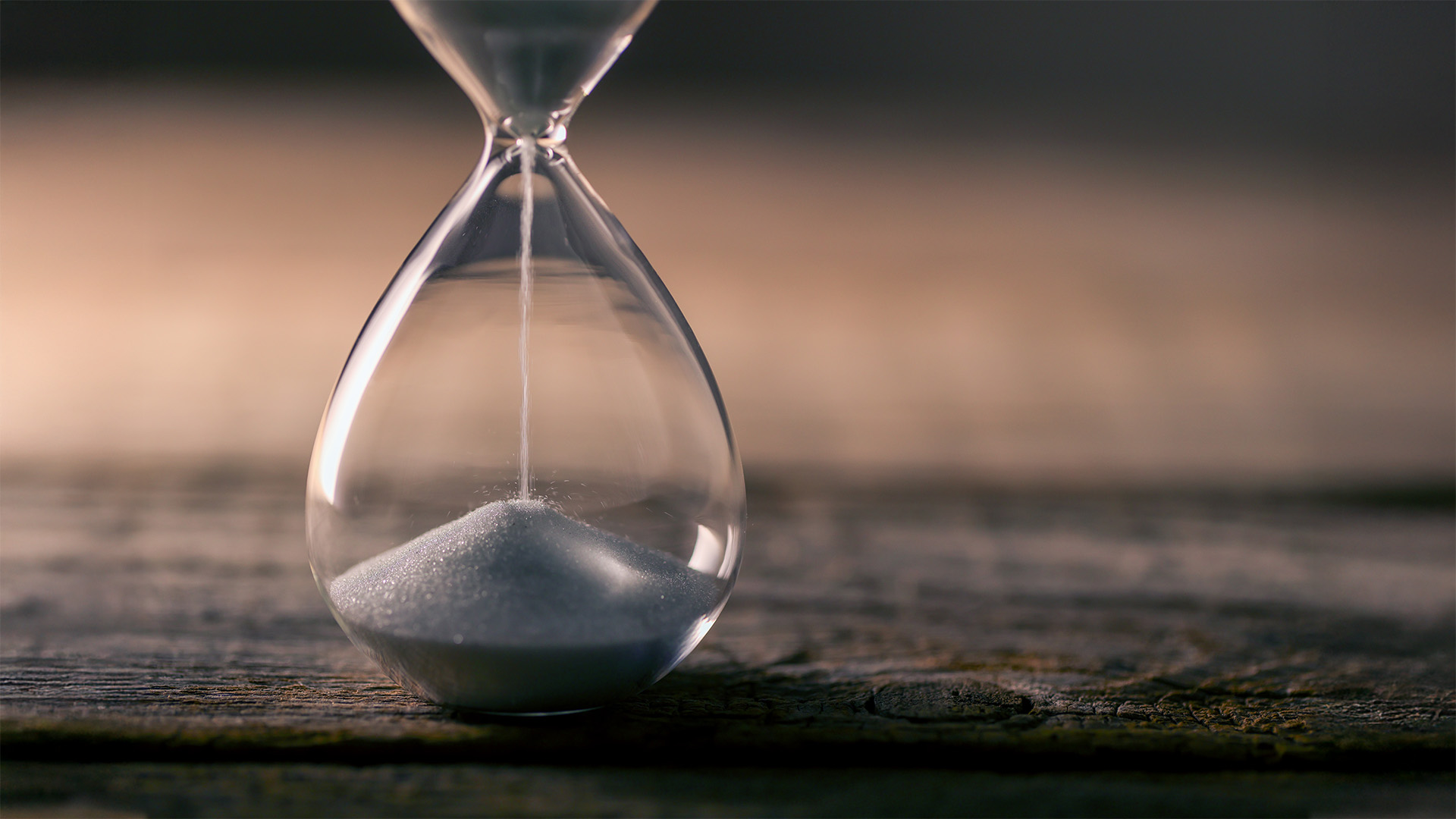 Slow has all the power: why we invest alongside long-term owners