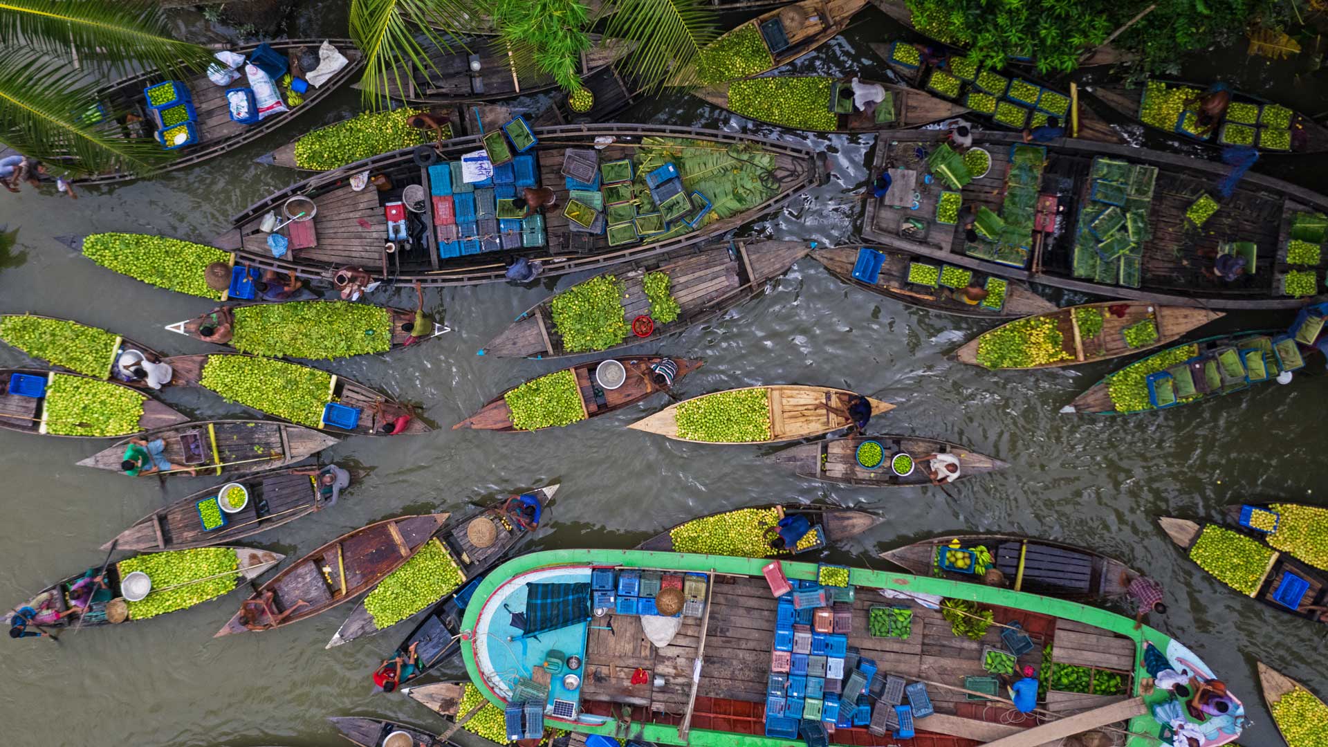 About Portfolio Explorer